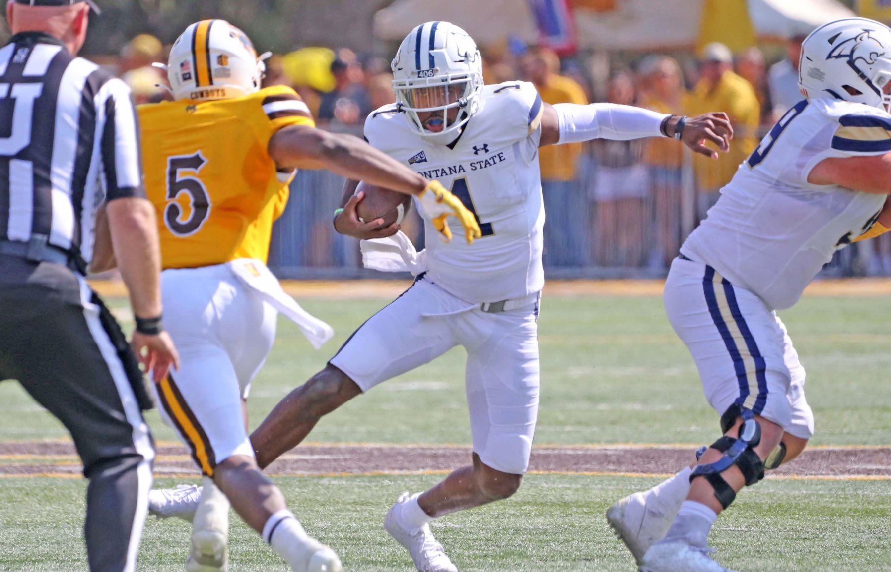 Montana State Bobcats football